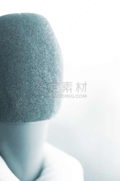 麦克风,拿着,专门技术,动物手,垂直画幅,歌手,传声器架,电容式麦克风,设备用品,2015年