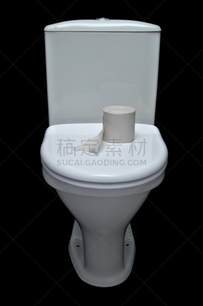 工程师,住宅内部,代夫特陶器,冲洗厕所,冲洗水,整洁的房间,尿液,污水处理厂,卫生纸,垂直画幅