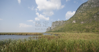 巴蜀,泰国,水,天空,夏天,湖,草,明亮,热带气候,芦苇