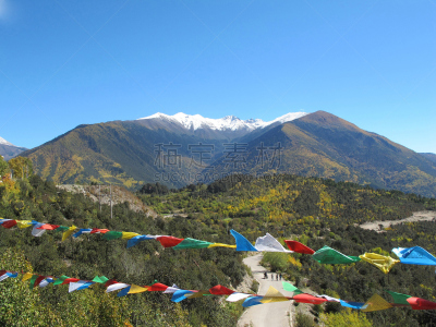 雪,山,中国,云南省,白马,香格里拉,白马寺,玉龙雪山,香格里拉县,藏族