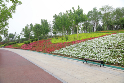 路,栏杆,派克大街,公亩,季节,图像,公园,无人,中国,植物园
