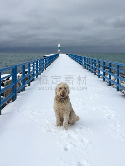 码头,雪,灯塔楼,狗,垂直画幅,水,无人,海峡,建筑外部,户外