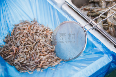 干的,虾,南大门市场,蛤蚌,首尔,韩国食物,水平画幅,无人,不健康食物,生食