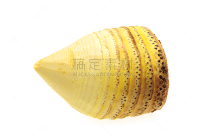 笋,三个物体,采矿业,根部,春天,商业金融和工业,水平画幅,中国,白色背景,组物体