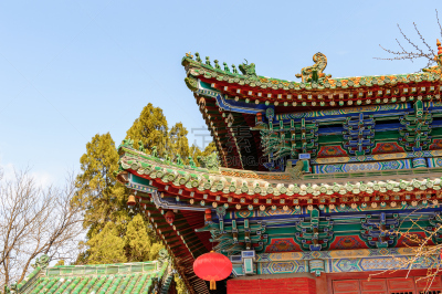 少林,宝塔,寺庙,世界遗产,少林寺,武术,官吏,水平画幅,古老的