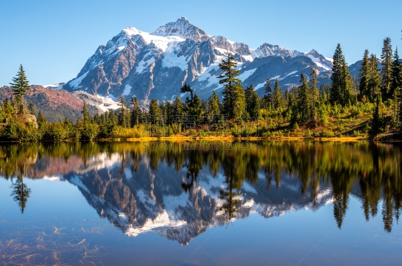 秋天,舒克森山,美国西北太平洋地区,华盛顿州,公园,华特康县,北喀斯开山脉,草,自然美,饮用水