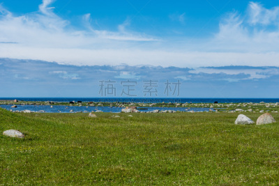田地,绿色,食草,海洋,家牛,黑色,褐色,水,天空,oland桥