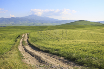 维得斯卡,田地,托斯卡纳区,土路,意大利,阿米亚塔山,留白,水平画幅,无人,火山地形