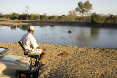 象,萨比沙地保护区,追踪人,德兰士瓦省,水洞湖,河马,自然,水,野生动物,水平画幅