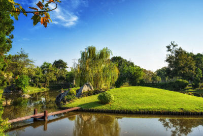 日本,菜园,高雅,风景,水平画幅,夏天,户外,湖,草,阿巴斯·苏安