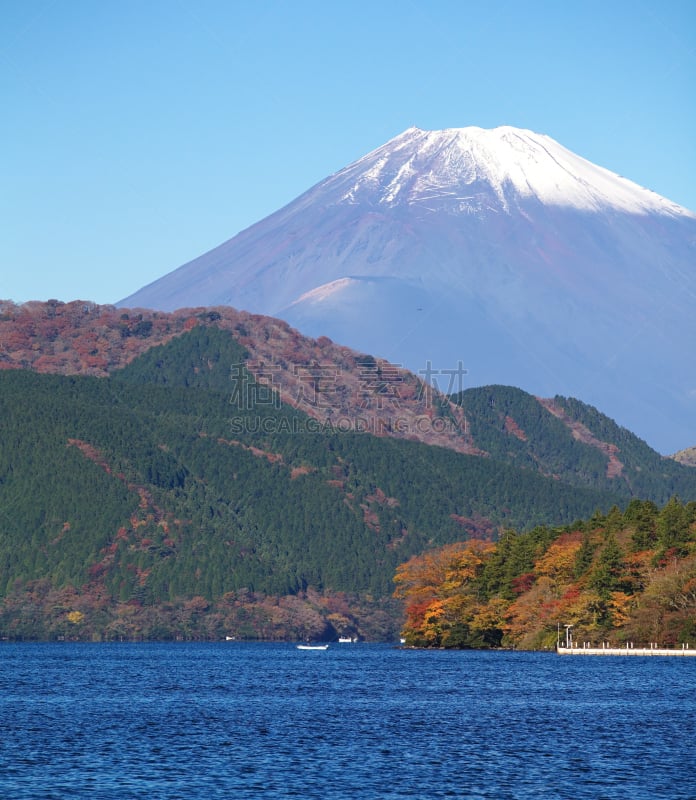 山,富士山,垂直画幅,雪,旅行者,户外,湖,箱根园,富士箱根伊豆国立公园,著名景点