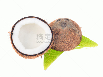 椰子,叶子,白色背景,分离着色,褐色,气候,水平画幅,纹理效果,饮料,图像