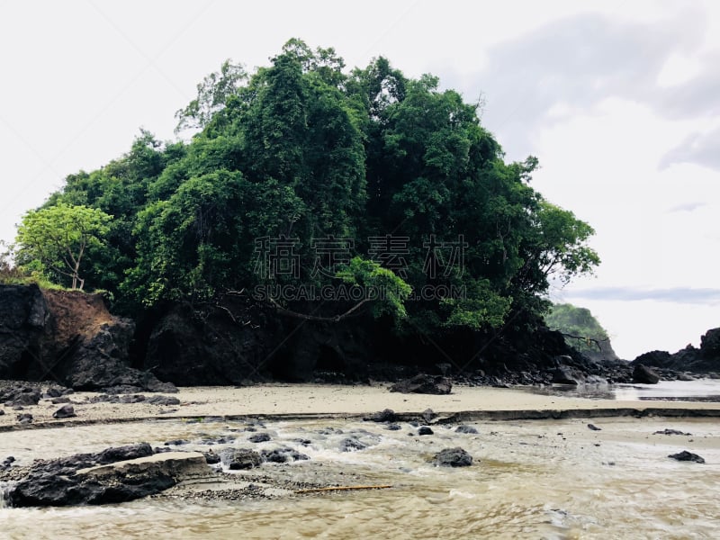 雨林,口袋,水,枝繁叶茂,沙子,夏天,热带灌木,海滩,热带气候,风景