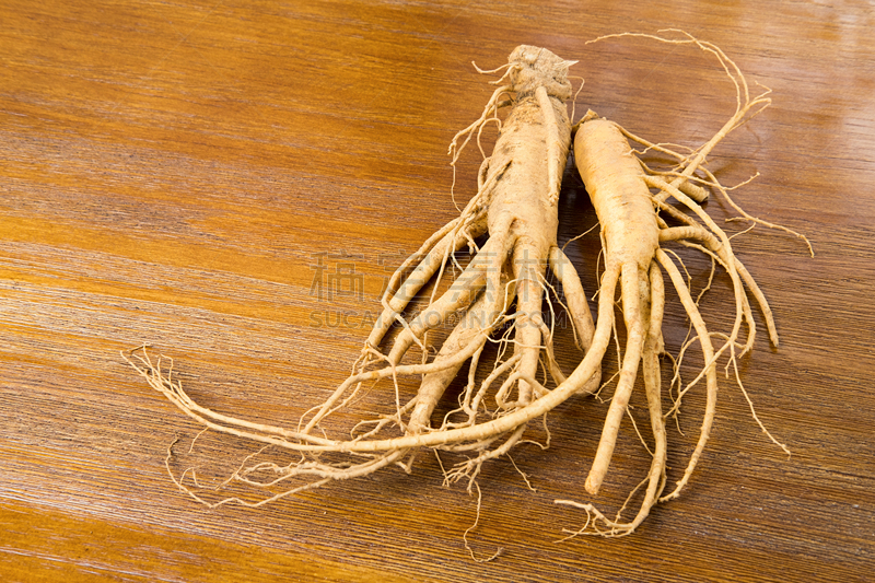 Korean fresh ginseng on wood background