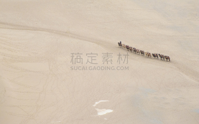 骆驼,沙漠,动物群,自然,水平画幅,沙子,无人,户外,甘肃省,沙丘