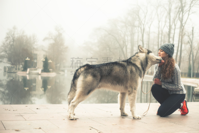 慢跑,狗,图像,女孩,阿拉斯加雪橇犬,导盲犬,美,青少年,公园,休闲活动