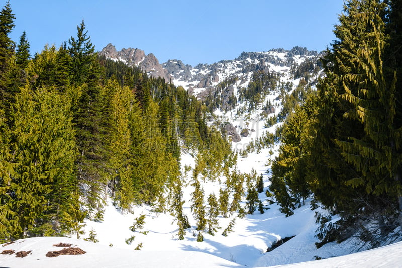 飓风山脊,国际生物圈保护区,奥林匹克山脉,奥林匹克山,水平画幅,雪,无人,户外,冬天,山