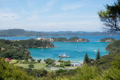 乌鲁普卡普卡岛,bay of islands,渡轮,新西兰,旅行者,码头,风景,海湾,白千层,南洋杉
