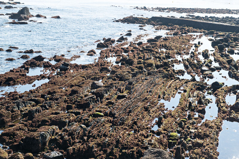 岩石,起源,沉积岩,大西洋,海岸线,背景,户外,天空,潮汐,欧洲