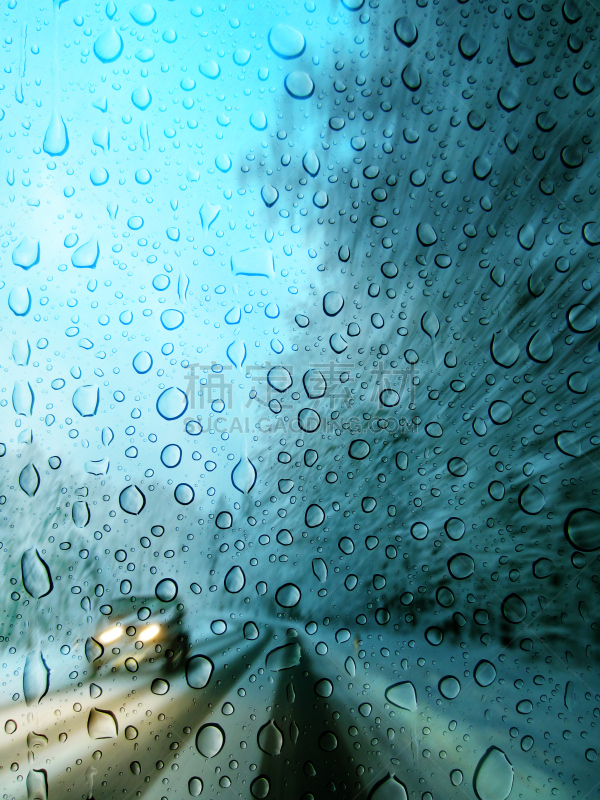 暴风雨,垂直画幅,银色,林区,雪,无人,湿,交通,曙暮光,特写