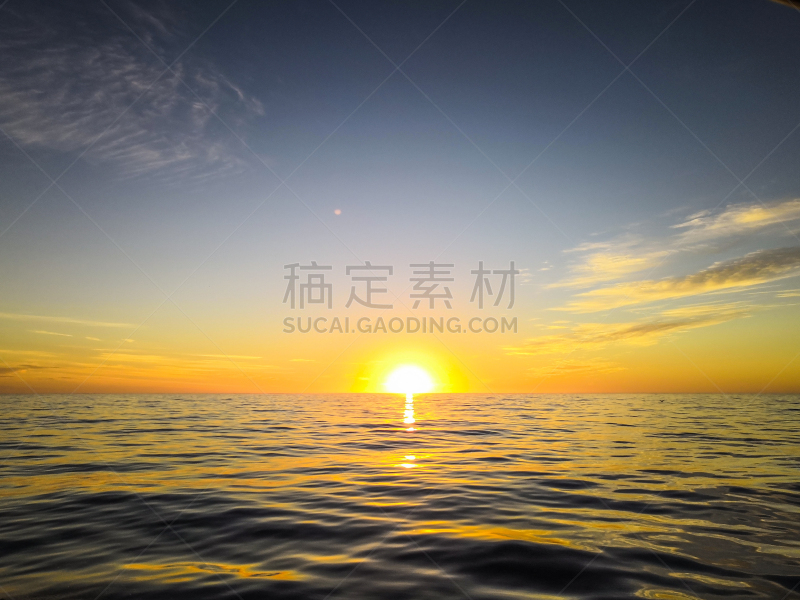 凯库拉山脉,黎明,自然,野生动物,图像,海洋,海豚,野外动物,新西兰,无人
