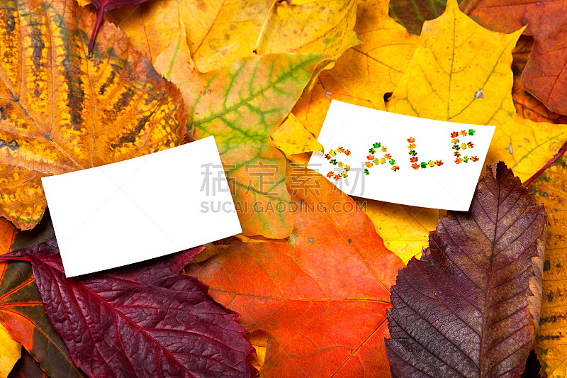 秋天,价格标签,背景,叶子,数字2,贺卡,单词,空的,传单,边框
