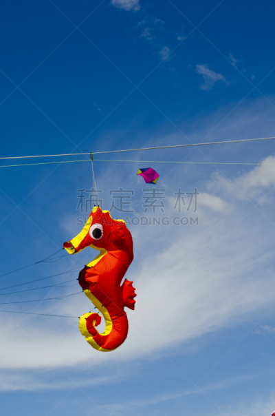 海马,风筝,红色,黄色,快乐,垂直画幅,天空,休闲活动,无人,蓝色