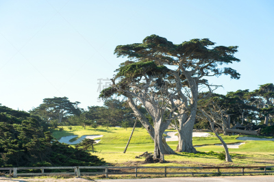 高尔夫球场,柏树,lone cypress tree,大苏尔,天空,美,水平画幅,无人,户外,鹅卵石