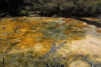 湖,罗托鲁阿,新西兰,waimangu thermal park,水,水平画幅,lake tarawera,无人,火山地形,户外