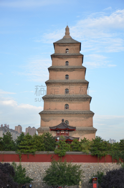 西安,建筑外部,宝塔,巨大的,野外动物,鹅肉,大雁塔,陕西省,垂直画幅