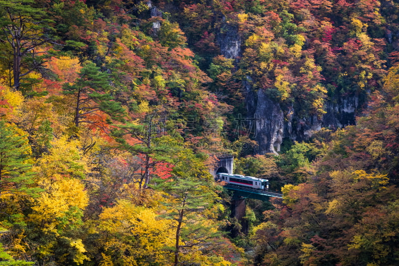 分界线,水平画幅,旅行者,户外,山,大崎市,东北片区,小溪,河流,叶子