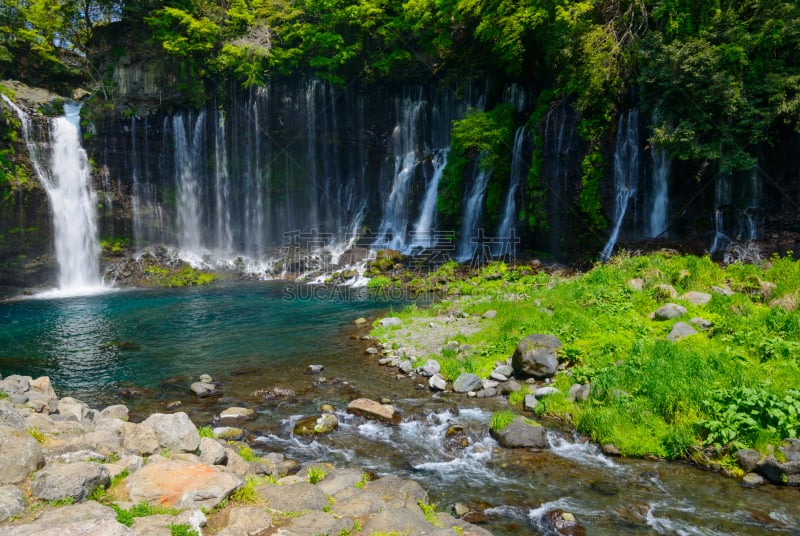 shiraito falls,富士宫,富士箱根伊豆国立公园,静冈县,富士山,美,里山,水平画幅,瀑布,美人