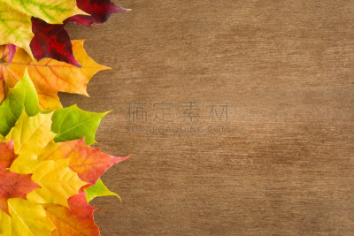 贺卡,想法,秋天,明信片,空的,季节,枫叶,文字,接力赛,背景聚焦
