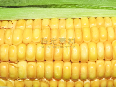 甜玉米,玉米,微距,外壳,水平画幅,纹理效果,生食,膳食,纤维,夏天