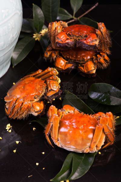螃蟹,中国,大闸蟹,连指手套,垂直画幅,篮子,湖,白色,多毛的,晚餐