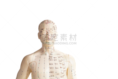 针灸模型,人,针灸,指压,穿洞的,背痛,按摩师,耐性,胸部,替代疗法