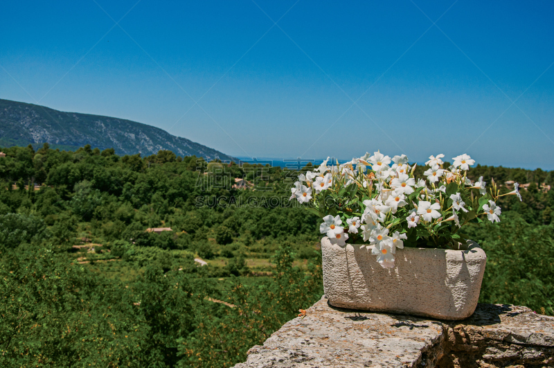 View of white flowers in a vase over the Provence hills, in Ménerbes.