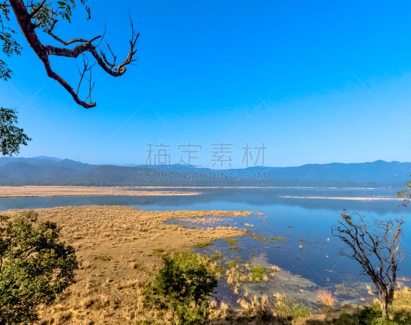 河流,印度,风景,科汐湾,环境,草,著名景点,湖,植物,岩石