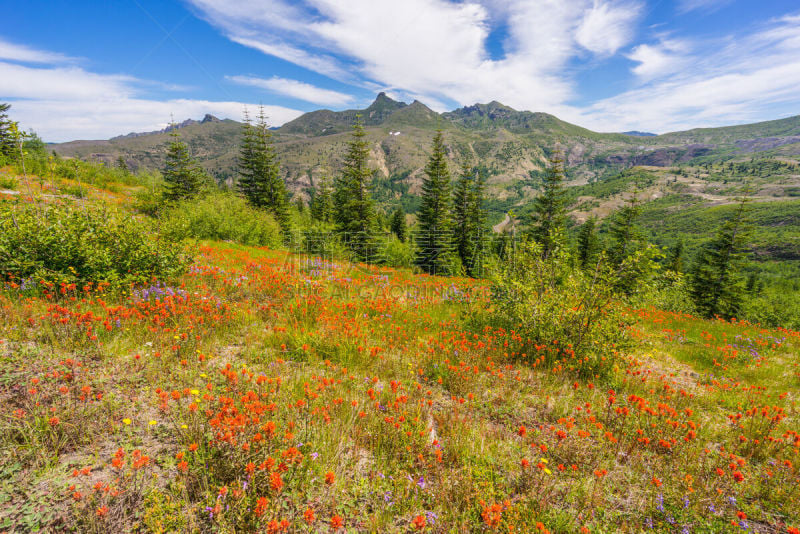 火山,非凡的,小路,视角,巨大的,山,山脊,花,不信,靠近