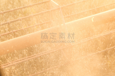 联合收割机,田地,短马鞭,全麦,吸管,拖拉机,工业,农作物,运动场,约伯