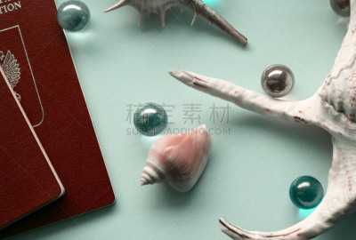 护照,贝壳,文档,蓝色背景,非都市风光,珍珠牡蛎,华丽的,护照印章,球,自由