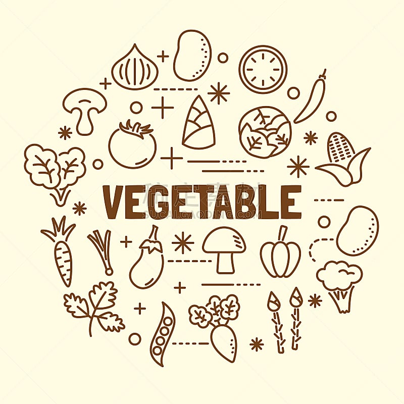 蔬菜,符号,极简构图,线条,细的,农业,清新,菜园,莴苣,食品