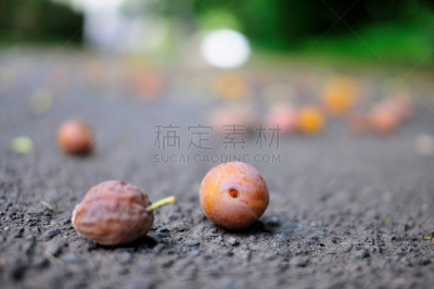 西洋李,水平画幅,水果,焦油,无人,路,古老的,户外,生锈的,破败