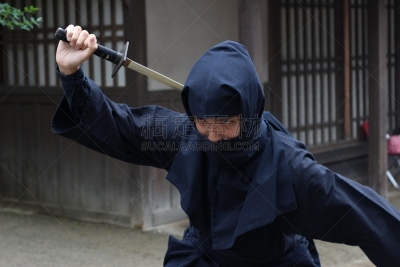 京都府,京都市,水平画幅,剑,日本,忍者,江户时代,摄影