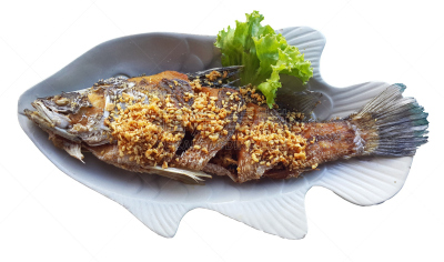 鱼类,盘子,分离着色,白色背景,名人吐槽节目,烤串,烤牛肉,煎蛋,石油工业,格子烤肉