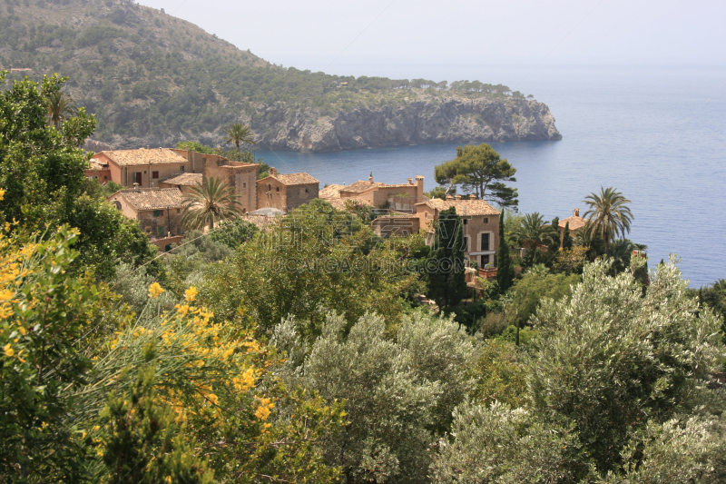 puerto de soller,索乐,sierra de tramuntana,水,天空,地名,水平画幅,油橄榄树,无人,户外