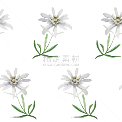 符号,火绒草,阿尔卑斯山脉,德国,品牌名称,绘画插图,天空,美,无人,古典式
