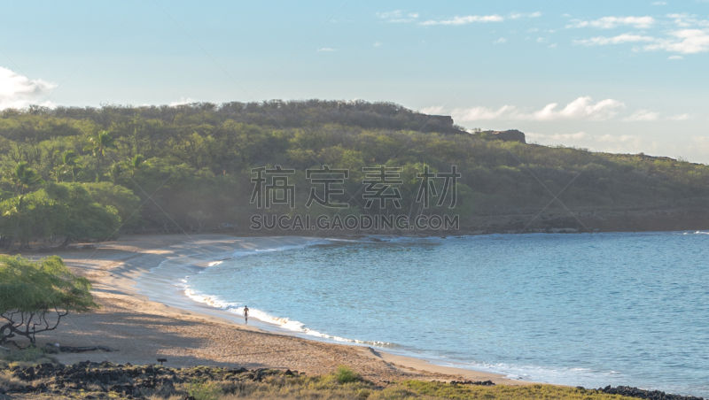 夏威夷,拉奈岛,海滩,远距离,男人,海湾,人,太平洋岛屿,一个人,图像