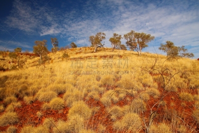 偏远地区,澳大利亚,鬼臼树,三齿稃,the pilbara,半干旱,桉树,东欧大草原,西澳大利亚,天空