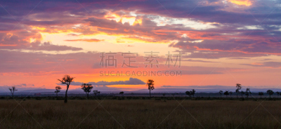 黎明,马拉河,在上面,天空,早晨,夏天,光,草,风景,热